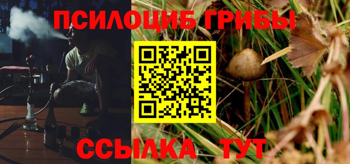 Псилоцибиновые грибы мухоморы  Галлюциногенные грибы мицелий  Усинск  Вход с VPN 